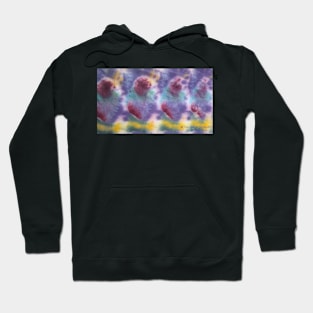 Baby Birds v1 Hoodie